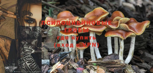 дурь Киренск