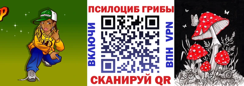Купить  Осташков  Галлюциногенные грибы Magic Shrooms 